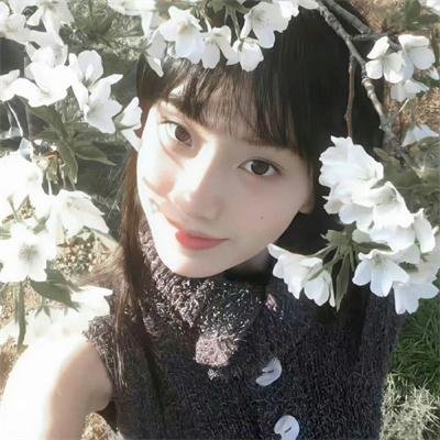 去野吧！毛孩子